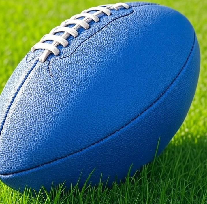 The Gridiron Gazette